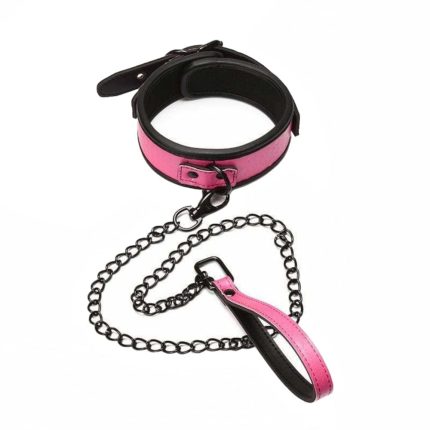 Sugar N Spice Leather Collar With Leash