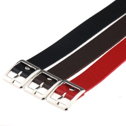 Minimalistic Beltlike Human Collar