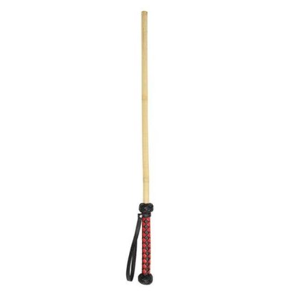 Spank Me Crazy Cane Sex Toy